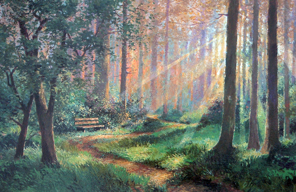 Forest Rest